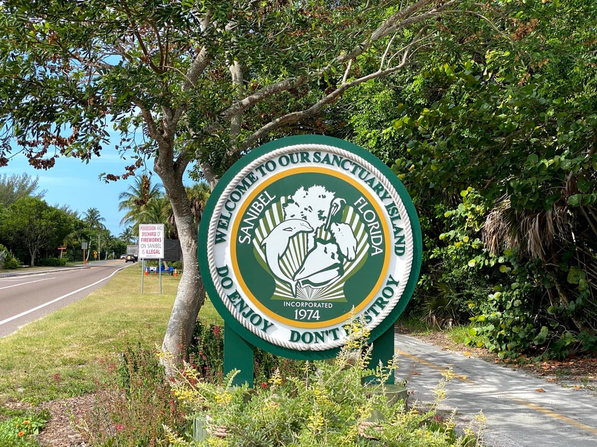 Palm tree framing the Sanibel Causeway