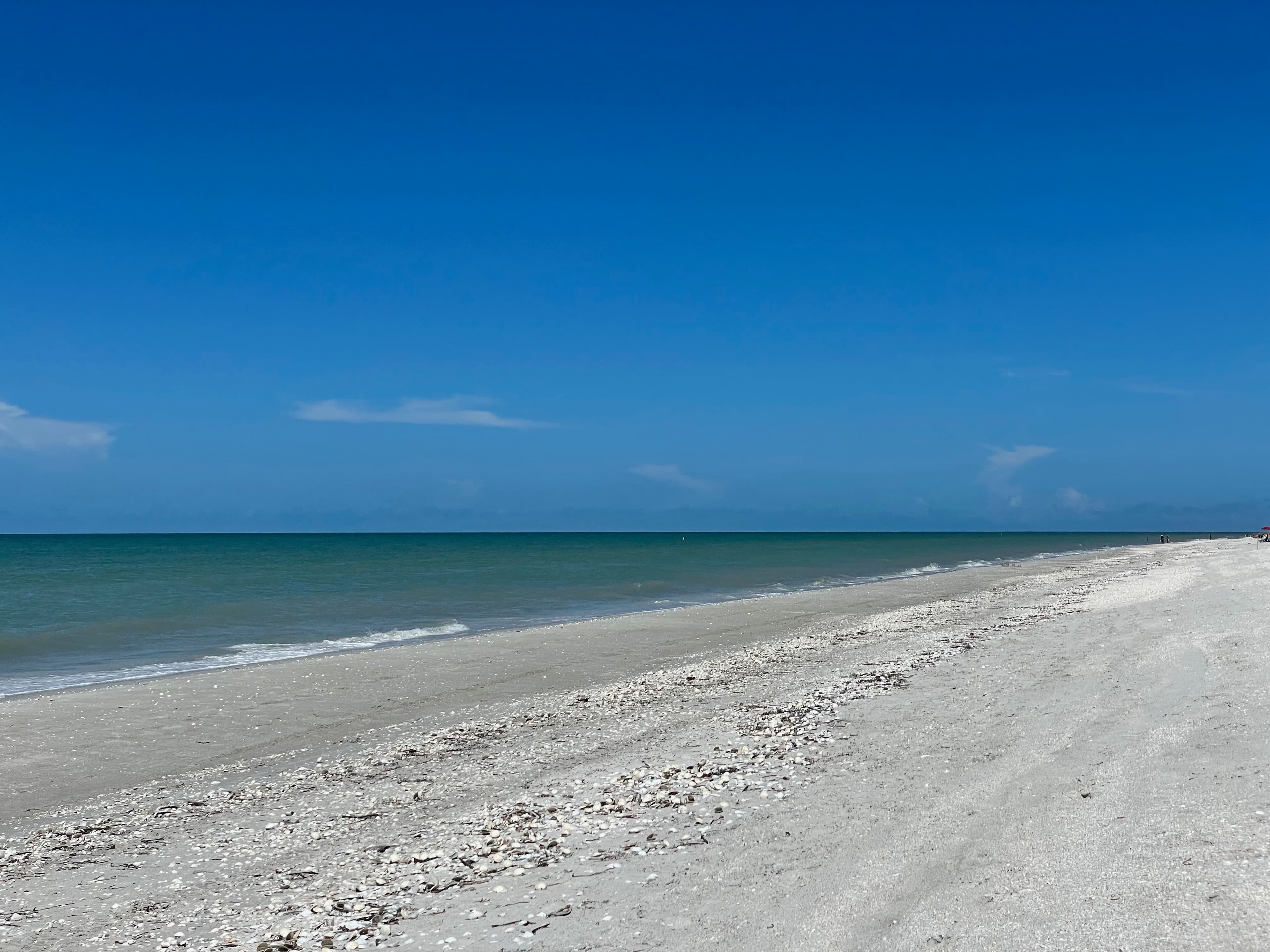 First Time Visiting Sanibel Island — Everything You Need to Know