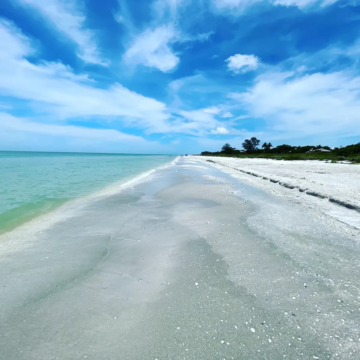 Wide sandy Sanibel beach with shady trees and soft white sand