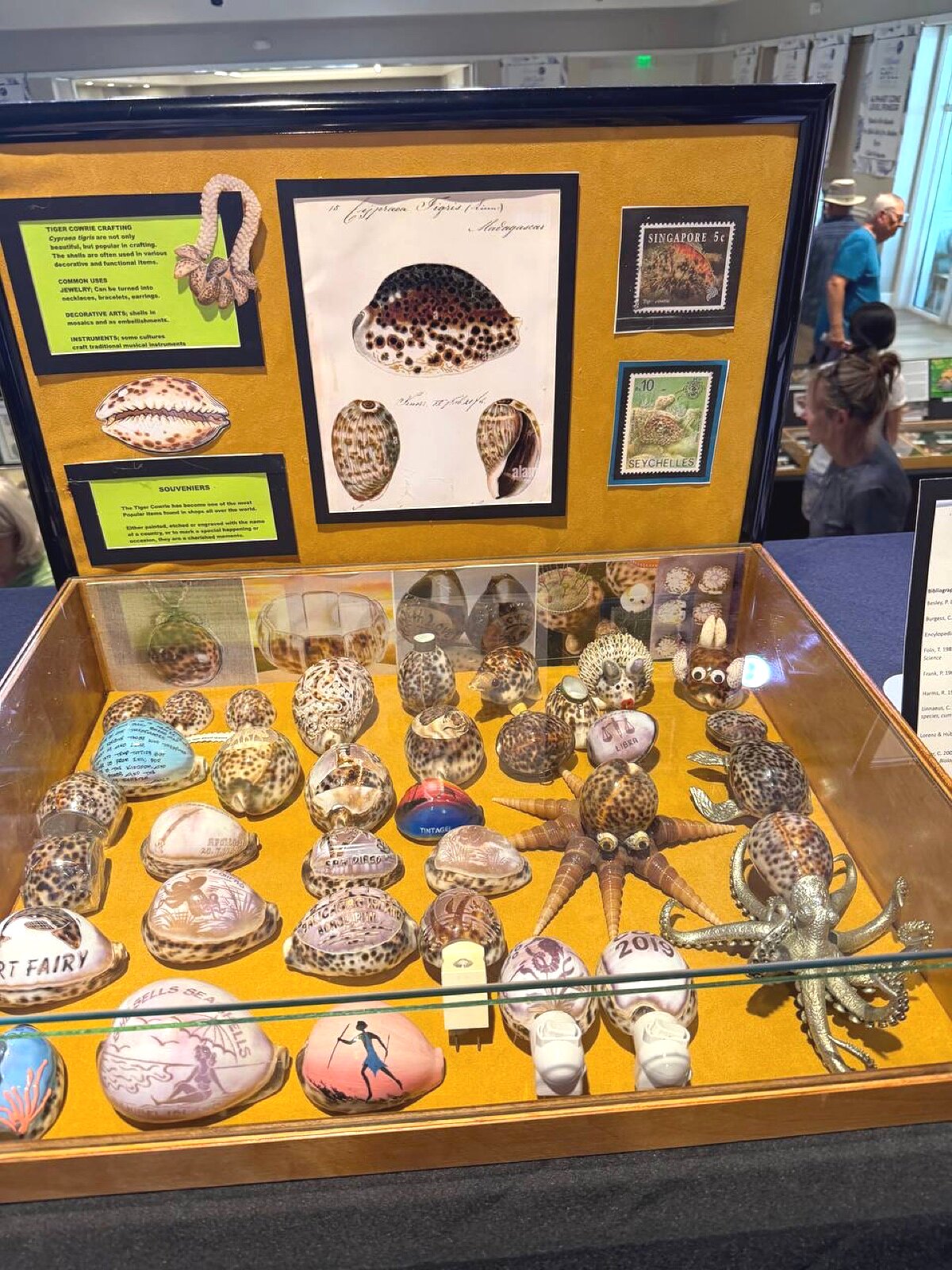 Tiger cowrie crafts — painted shells, souvenirs, and stamps from around the world