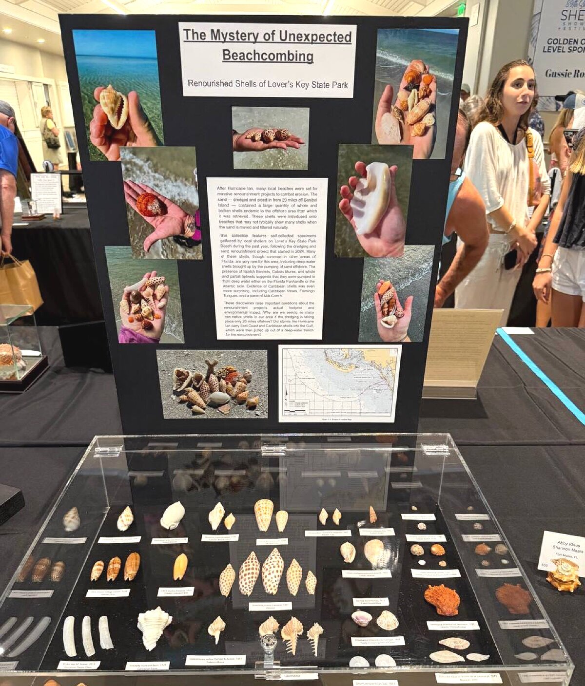 The Mystery of Unexpected Beachcombing — renourished shells from Lover's Key after Hurricane Ian