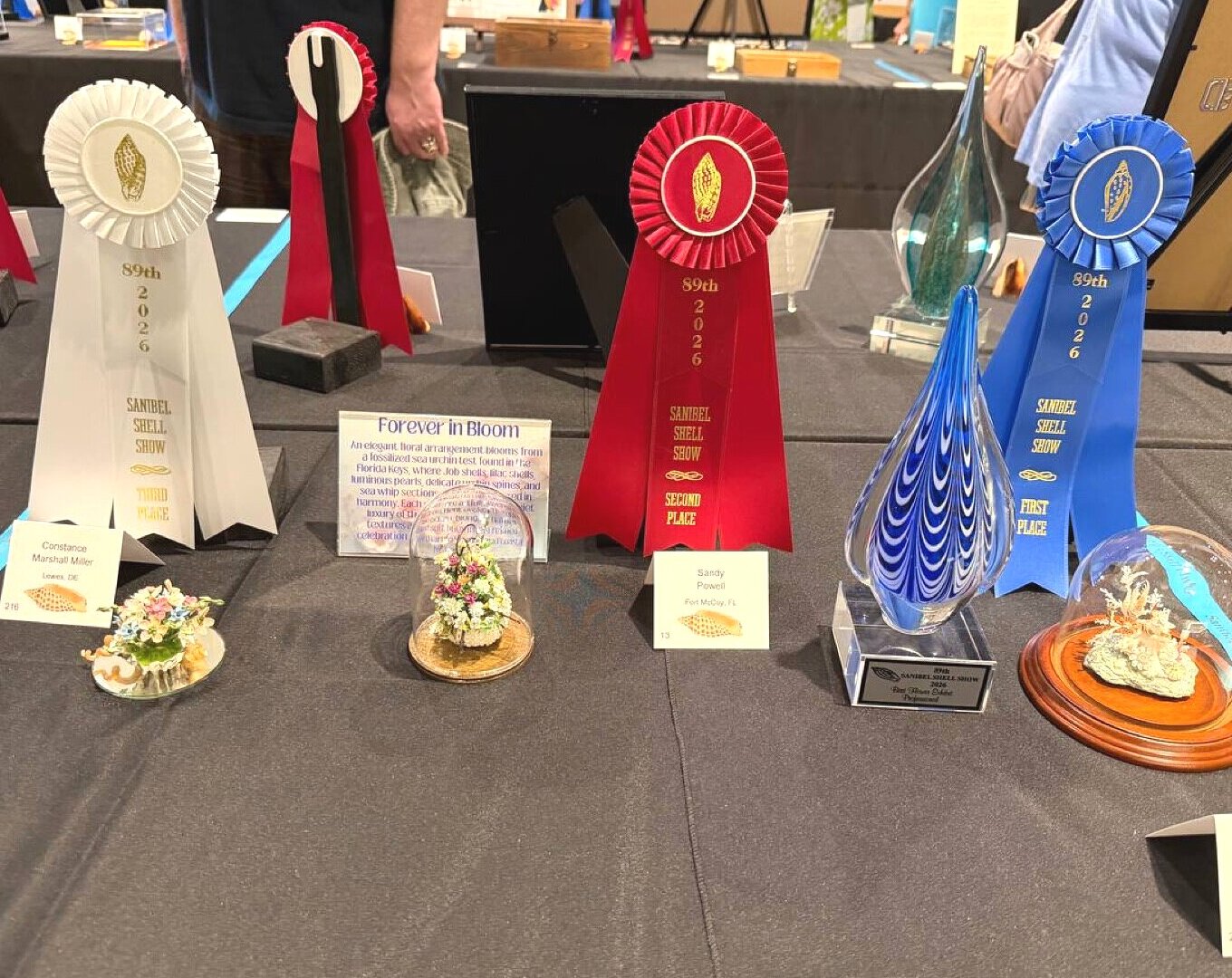 Winners display — 1st, 2nd, and 3rd place trophies with shell art pieces